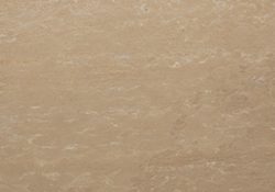Northern Buff Thumbnail